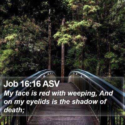 Job 16:16 ASV Bible Verse Image