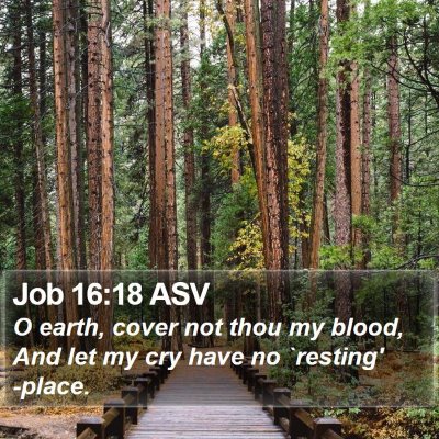 Job 16:18 ASV Bible Verse Image