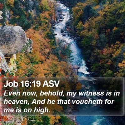 Job 16:19 ASV Bible Verse Image