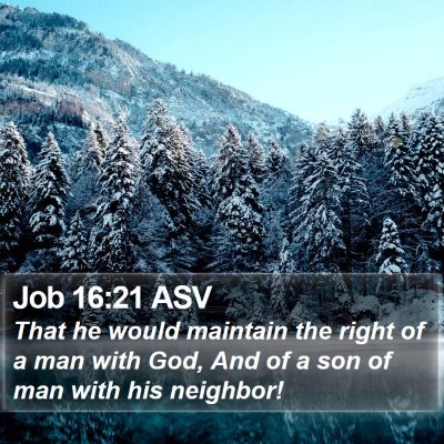 Job 16:21 ASV Bible Verse Image