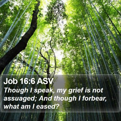 Job 16:6 ASV Bible Verse Image