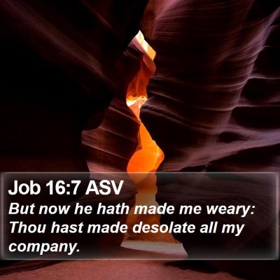 Job 16:7 ASV Bible Verse Image