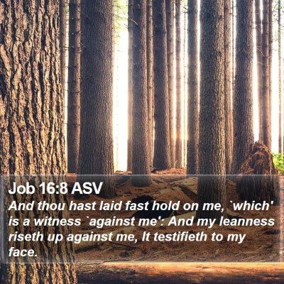 Job 16:8 ASV Bible Verse Image