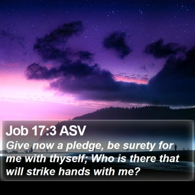 Job 17:3 ASV Bible Verse Image