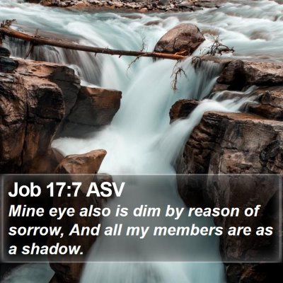 Job 17:7 ASV Bible Verse Image