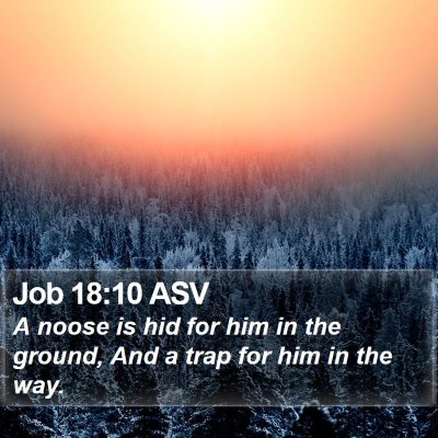 Job 18:10 ASV Bible Verse Image
