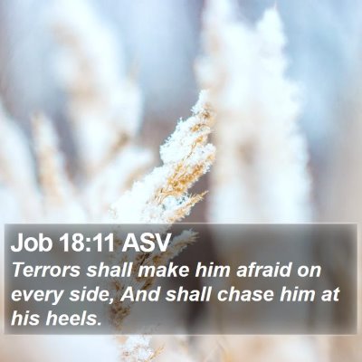 Job 18:11 ASV Bible Verse Image