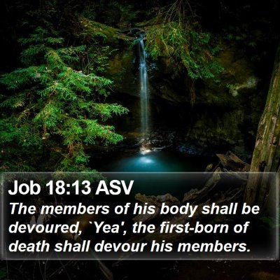 Job 18:13 ASV Bible Verse Image
