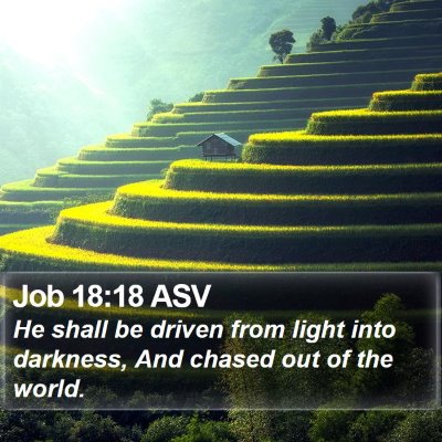 Job 18:18 ASV Bible Verse Image