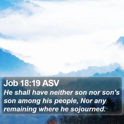 Job 18:19 ASV Bible Verse Image