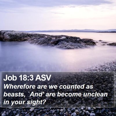 Job 18:3 ASV Bible Verse Image