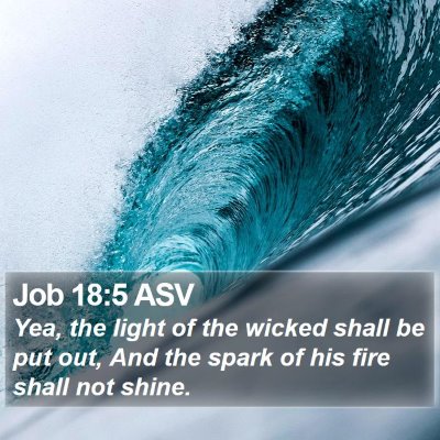 Job 18:5 ASV Bible Verse Image