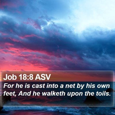 Job 18:8 ASV Bible Verse Image