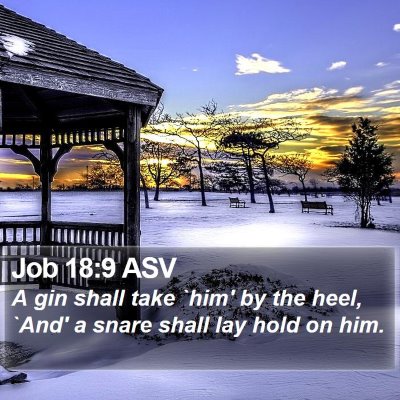 Job 18:9 ASV Bible Verse Image
