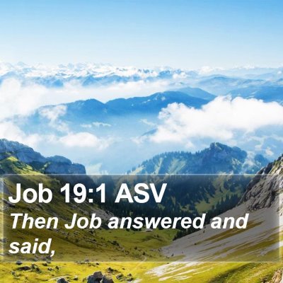 Job 19:1 ASV Bible Verse Image