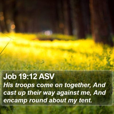 Job 19:12 ASV Bible Verse Image
