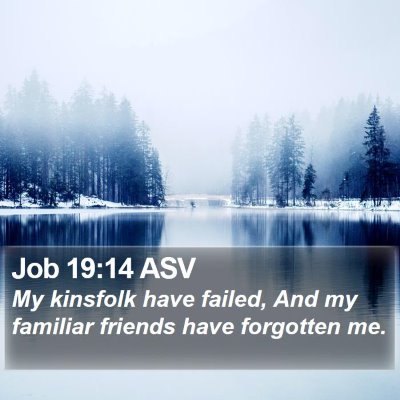 Job 19:14 ASV Bible Verse Image
