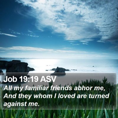 Job 19:19 ASV Bible Verse Image