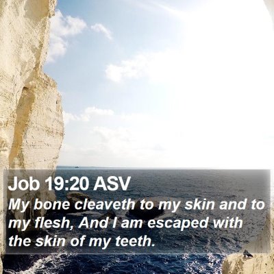 Job 19:20 ASV Bible Verse Image