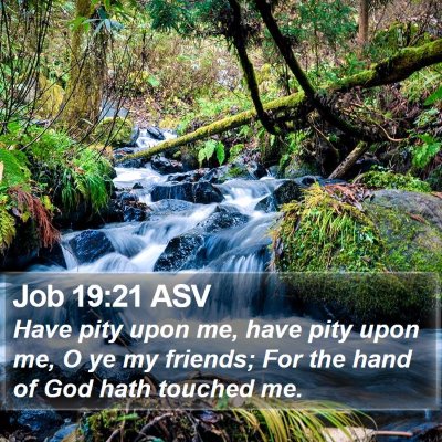 Job 19:21 ASV Bible Verse Image