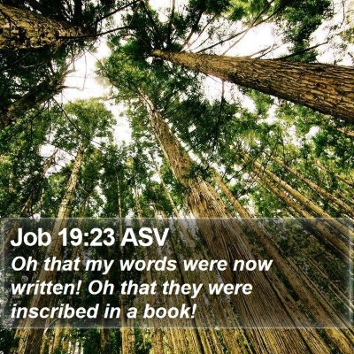 Job 19:23 ASV Bible Verse Image