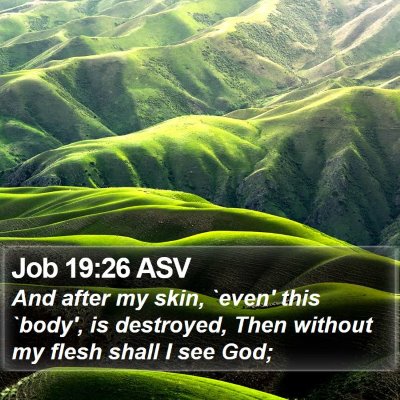 Job 19:26 ASV Bible Verse Image