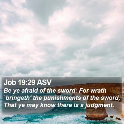 Job 19:29 ASV Bible Verse Image