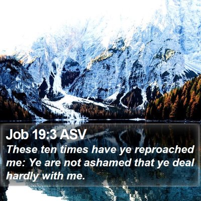 Job 19:3 ASV Bible Verse Image