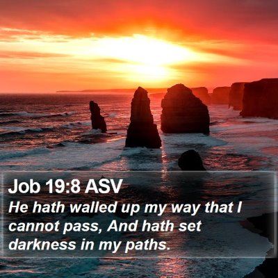 Job 19:8 ASV Bible Verse Image