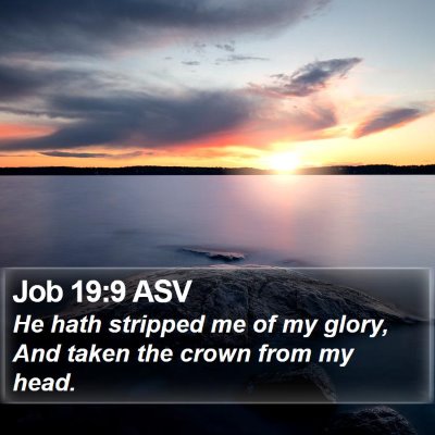 Job 19:9 ASV Bible Verse Image