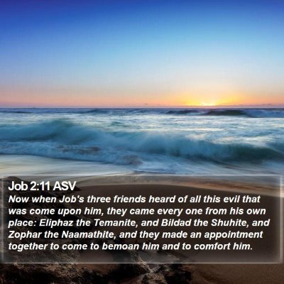 Job 2:11 ASV Bible Verse Image