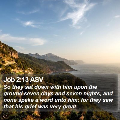 Job 2:13 ASV Bible Verse Image