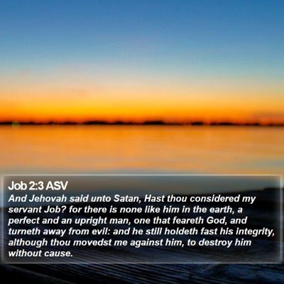 Job 2:3 ASV Bible Verse Image