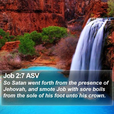 Job 2:7 ASV Bible Verse Image