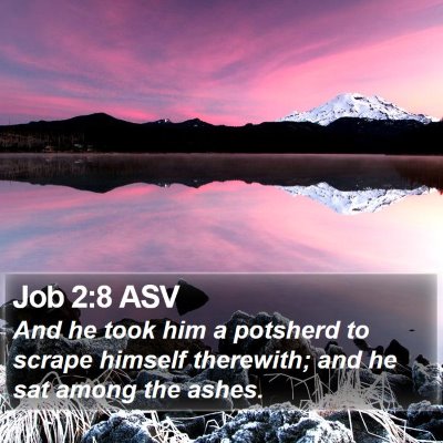 Job 2:8 ASV Bible Verse Image