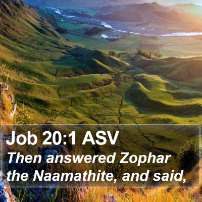 Job 20:1 ASV Bible Verse Image