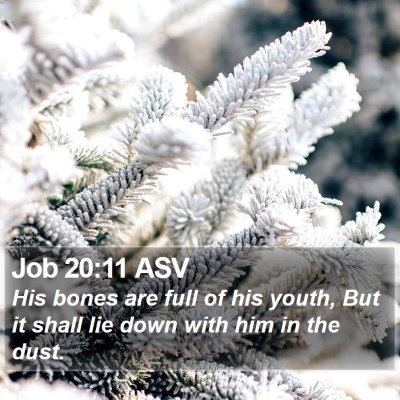 Job 20:11 ASV Bible Verse Image