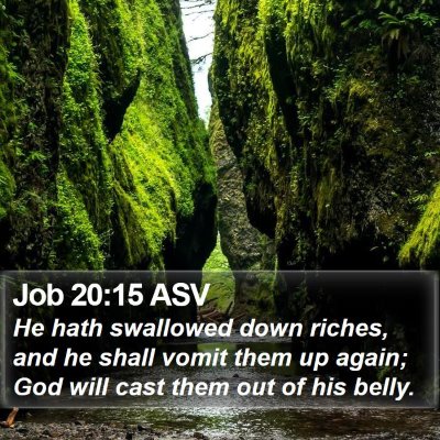 Job 20:15 ASV Bible Verse Image