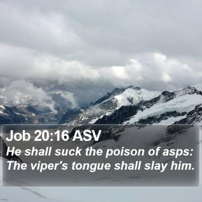 Job 20:16 ASV Bible Verse Image