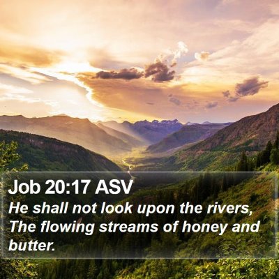 Job 20:17 ASV Bible Verse Image