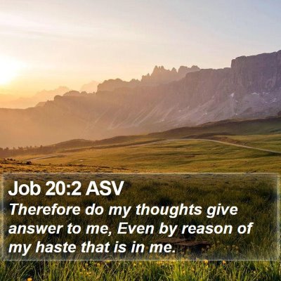 Job 20:2 ASV Bible Verse Image