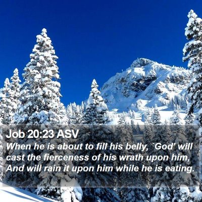 Job 20:23 ASV Bible Verse Image