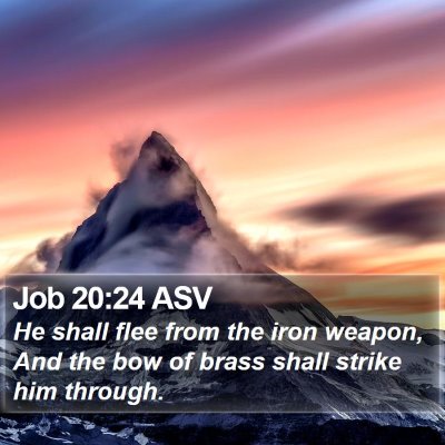 Job 20:24 ASV Bible Verse Image