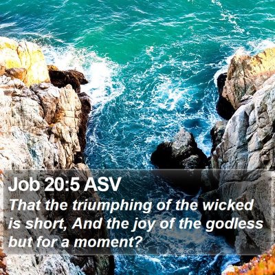 Job 20:5 ASV Bible Verse Image