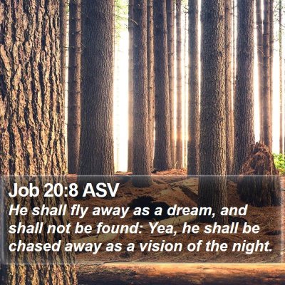 Job 20:8 ASV Bible Verse Image