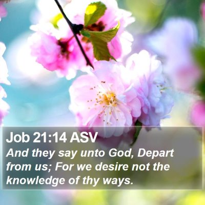Job 21:14 ASV Bible Verse Image