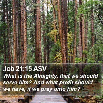 Job 21:15 ASV Bible Verse Image