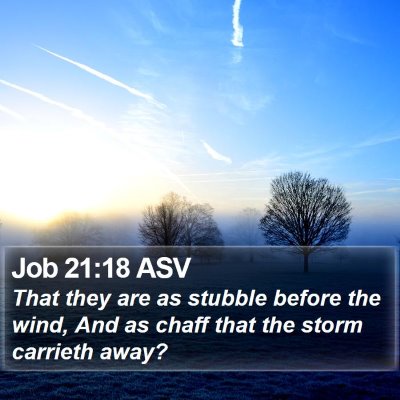 Job 21:18 ASV Bible Verse Image