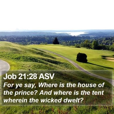 Job 21:28 ASV Bible Verse Image