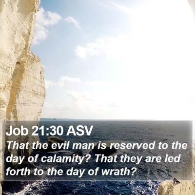 Job 21:30 ASV Bible Verse Image